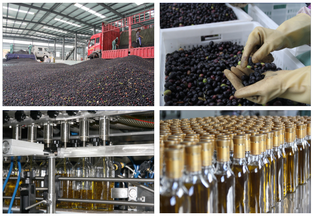 周总理60年前一次出访　为陇上江南带来遍地“黄金”