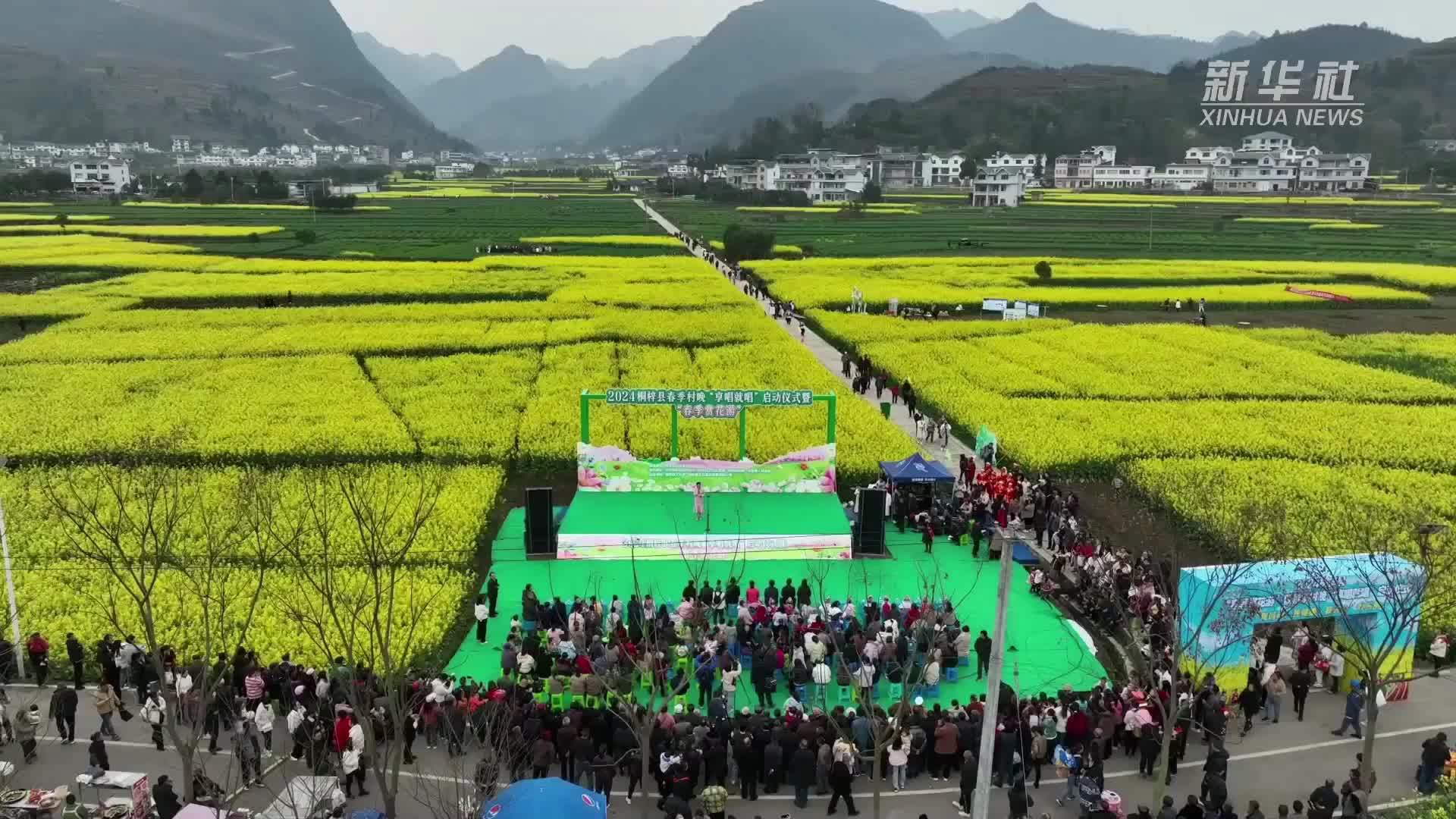 贵州桐梓：乡村花海引客来