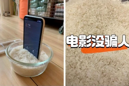 苹果公司警告:手机进水,别再插米里了!也别用电吹风_凤凰网