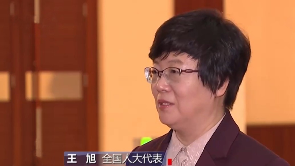 焦点访谈：王旭代表热聊如何发展新质生产力_凤凰网视频_凤凰网