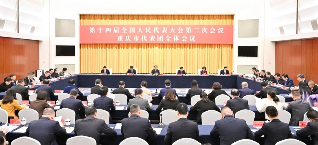 3月3日下午，出席十四届全国人大二次会议的重庆代表团举行全体会议。苏思 摄