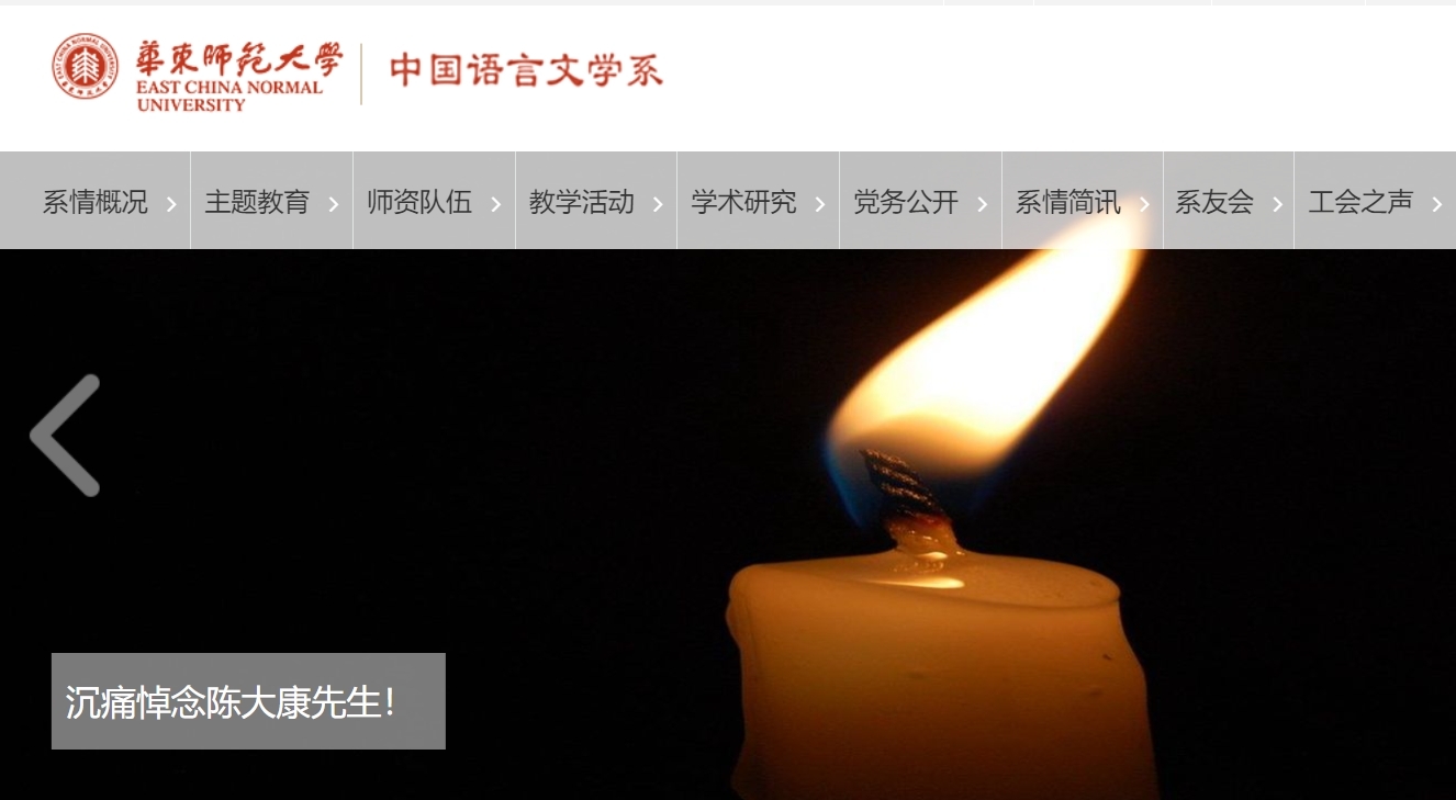 小说史专家、华东师范大学中文系终身教授陈大康逝世