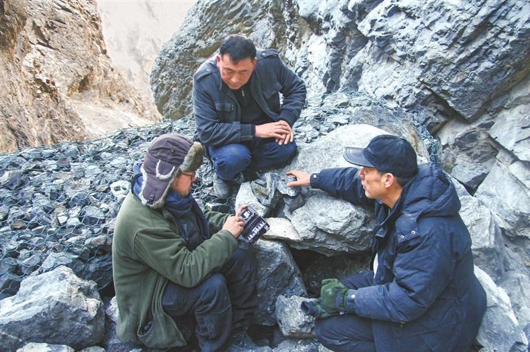 马鸣(右一)与队友在野外安装红外相机　新疆日报供图