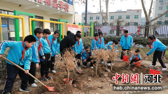 安分指挥学生们植树。 雷雪姣 摄