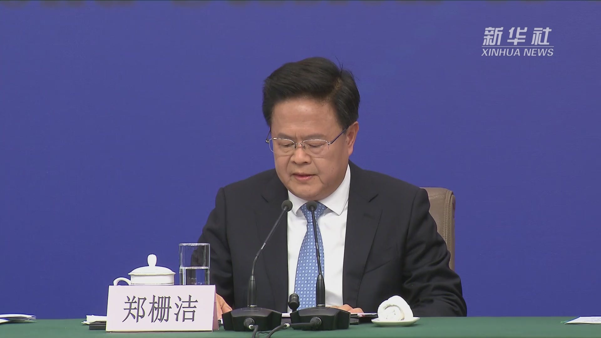 两会速递|郑栅洁:发挥好民间投资的作用很重要也很关键_凤凰网视频