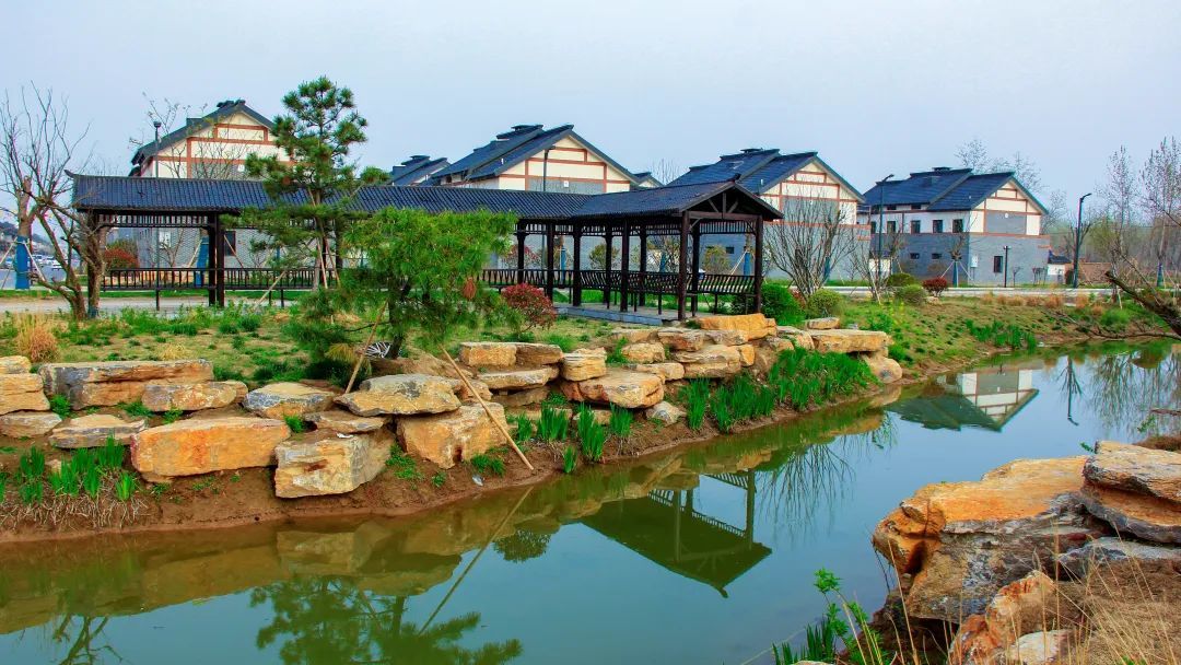 生态美环境靓产业兴徐州沛县绘出和美乡村好风景