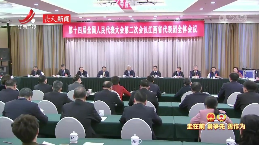 十四届全国人大二次会议江西代表团举行全体会议