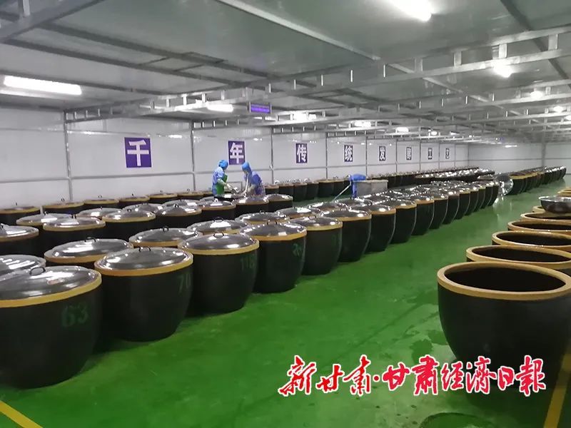 黄宝荣走上委员通道　分享甘肃“浆”湖故事