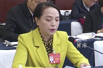全国人大代表董彩云：建议将临夏现代职业学院纳入对口支援西部地区高等学校