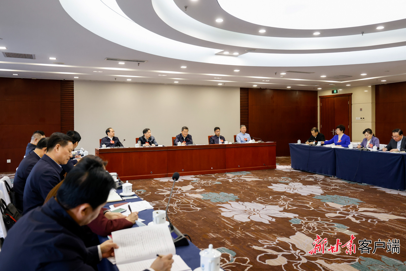 甘肃团审议全国人大常委会工作报告　书记省长说了啥
