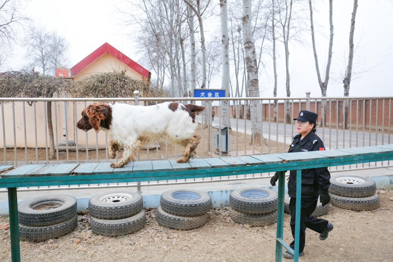 训练场上，王雨彤对艾莉不断发出短促而有力的口令