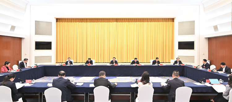 3月8日下午，十四届全国人大二次会议重庆代表团举行会议，分组审议全国人大常委会工作报告。记者 苏思 摄