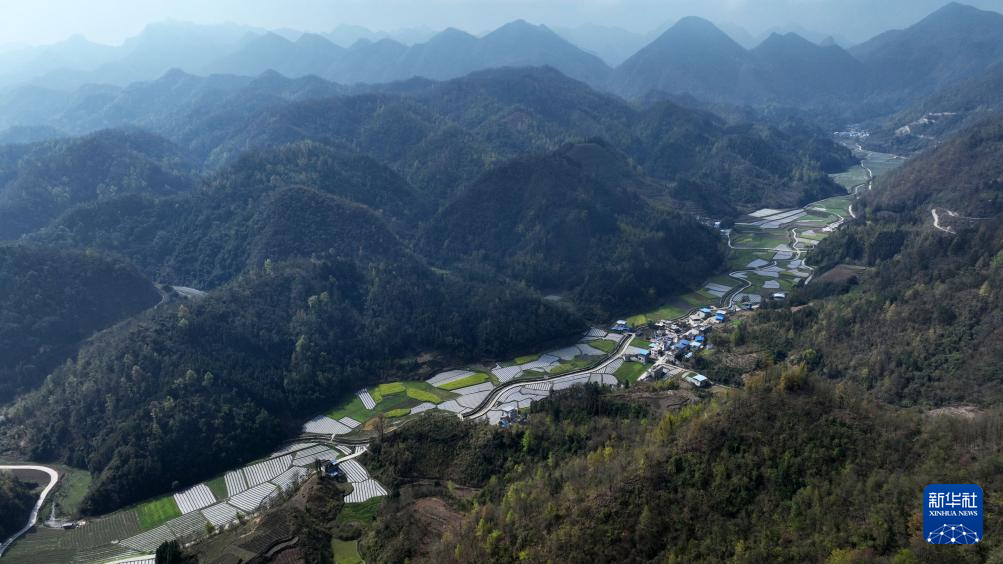 3月4日拍摄的罗甸县逢亭镇粤港澳大湾区蔬菜保供基地(无人机照片).