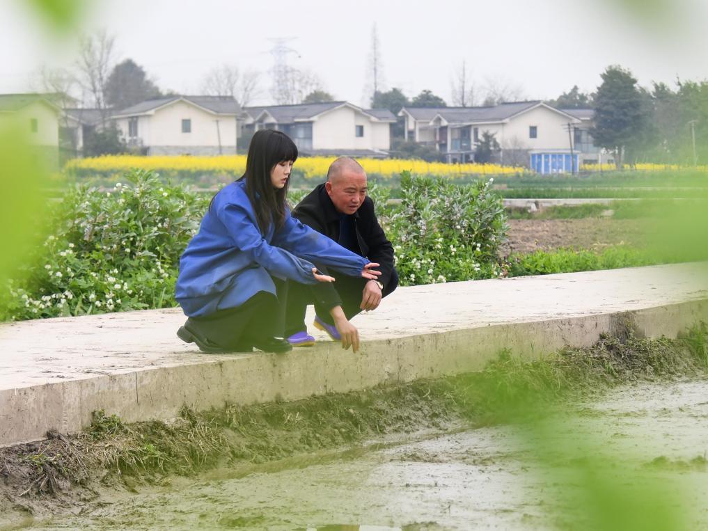 3月8日,在四川成都崇州市隆兴镇,王伶俐(左)在查看育秧田的情况。新华社记者王曦 摄