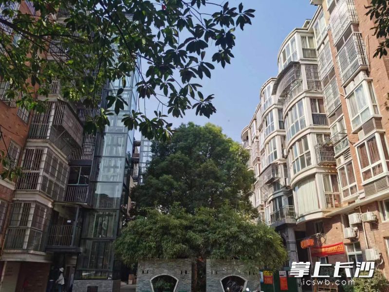 位于宁乡市的金海花园6栋3单元去年加装了电梯，居民上下楼更方面。  受访者供图