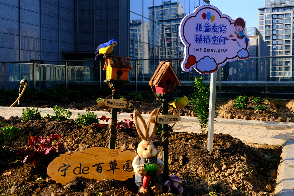 宁de百草园小神农妙手著环保