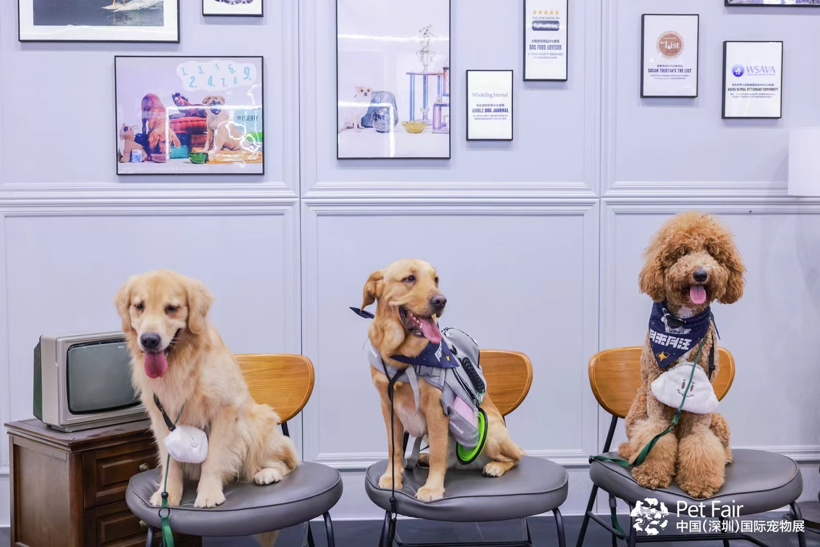 全球盛会圳聚商机第11届中国深圳国际宠物用品展盛大开幕