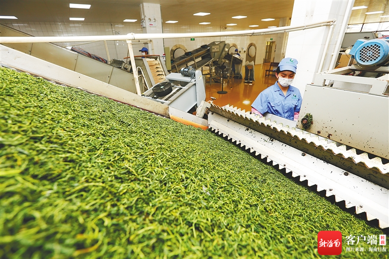 海南印发方案积极探索推进订单农业和定制农业发展