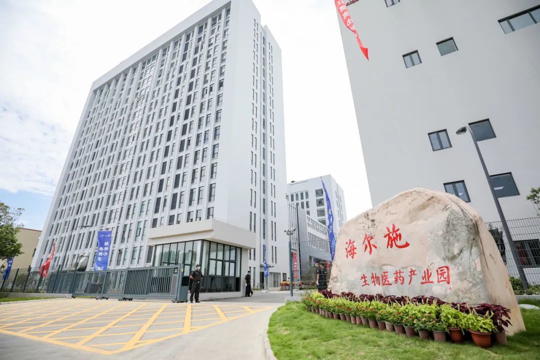 北仑小港街道争当高质量发展甬江南岸领跑者