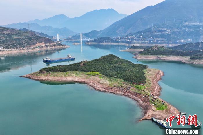 三峡库区3000余株珍稀濒危植物回归原生地