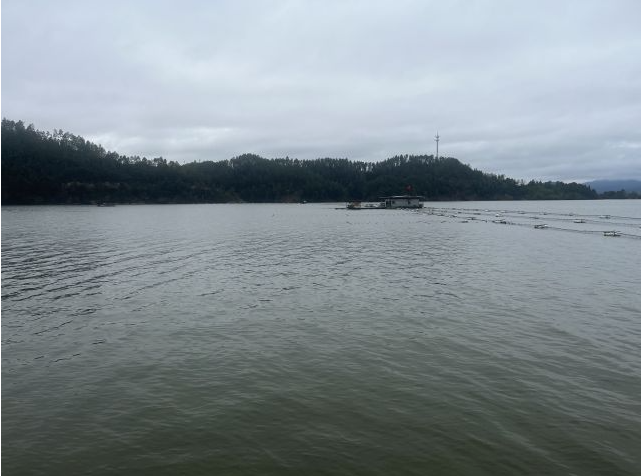 网友投诉12年前买断万安县丁屋库叉水库经营权 如今遭强制收回