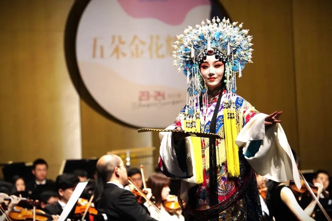 回顾五朵金花闪耀甬城巾帼力量热辣滚烫