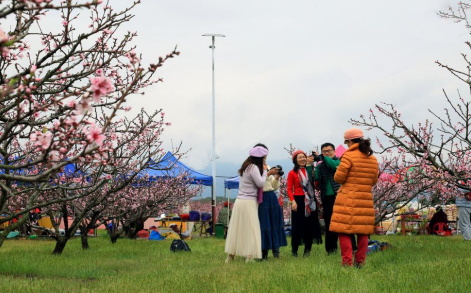 共赴一场浪漫花事 永修县第十八届凤凰山桃花节3月17日开幕