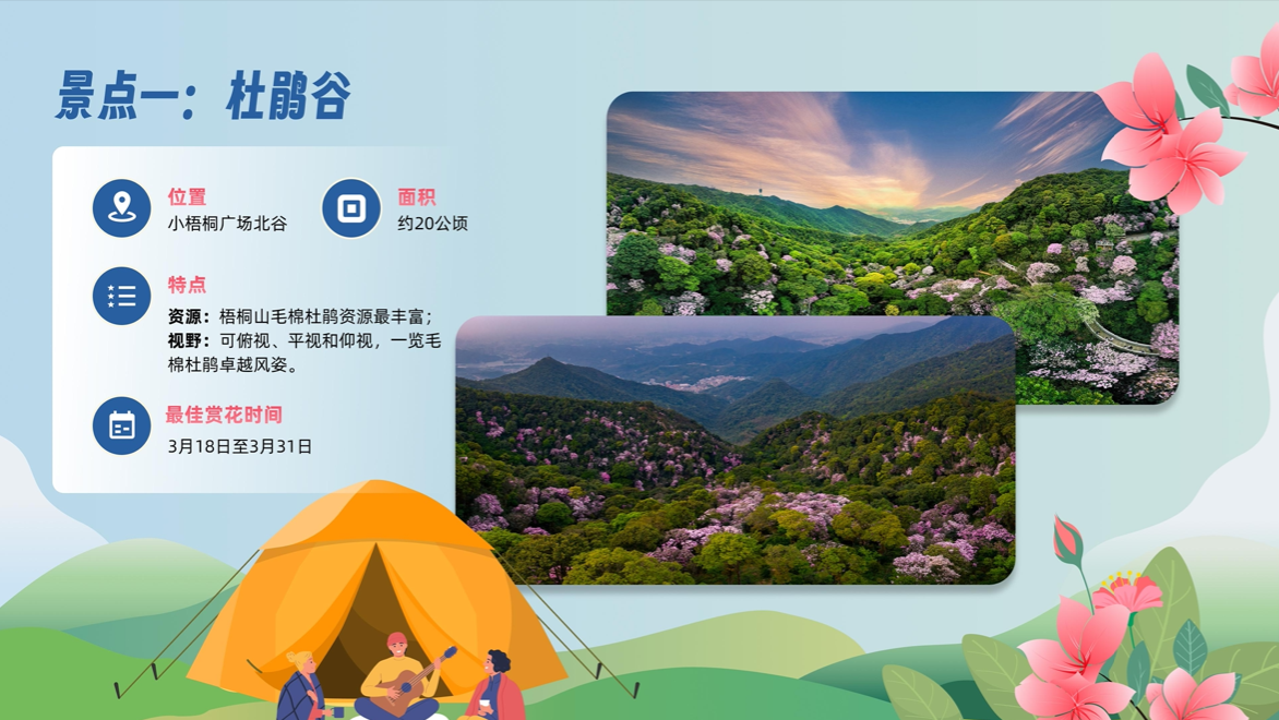 @深圳人“上春山”赏杜鹃 梧桐山毛棉杜鹃花会将至