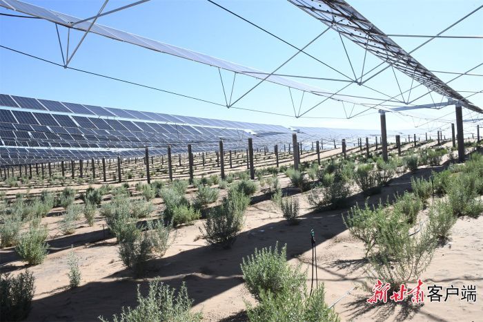 武威50万千瓦立体光伏治沙产业化示范项目