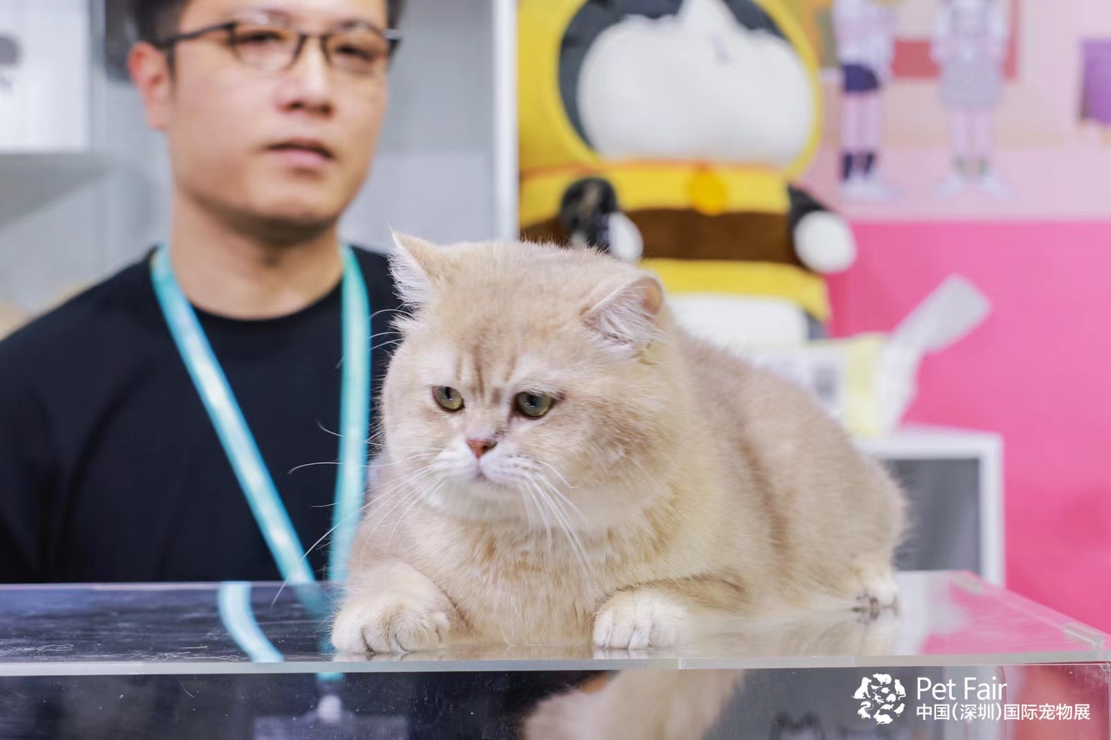 全球盛会圳聚商机第11届中国深圳国际宠物用品展盛大开幕