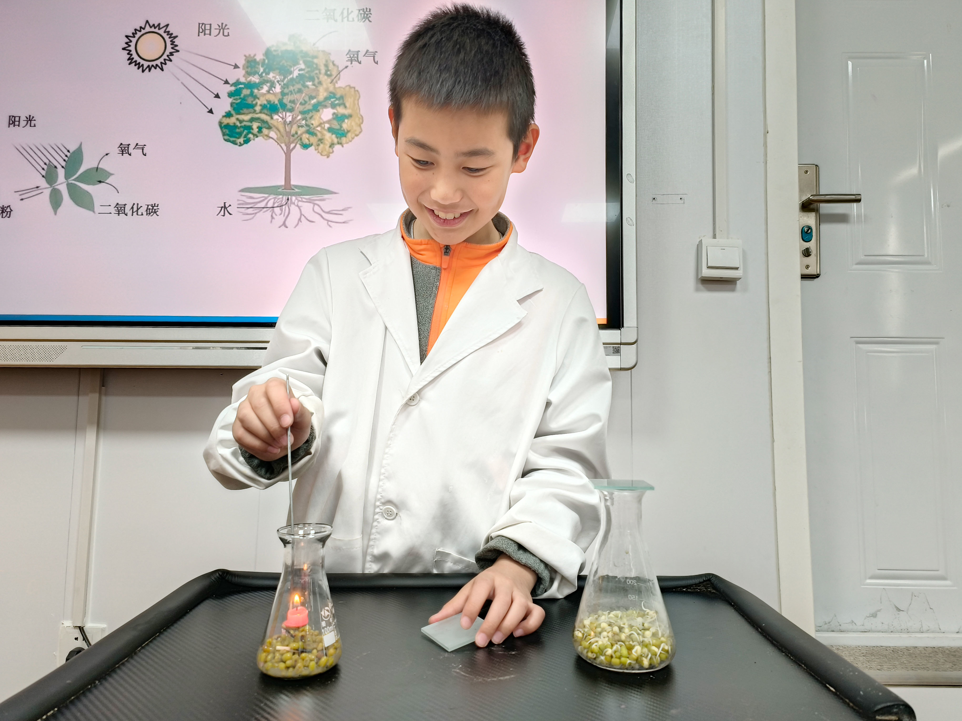 山东省青少年宫绿色科技主题课，让“绿色”融入生活！