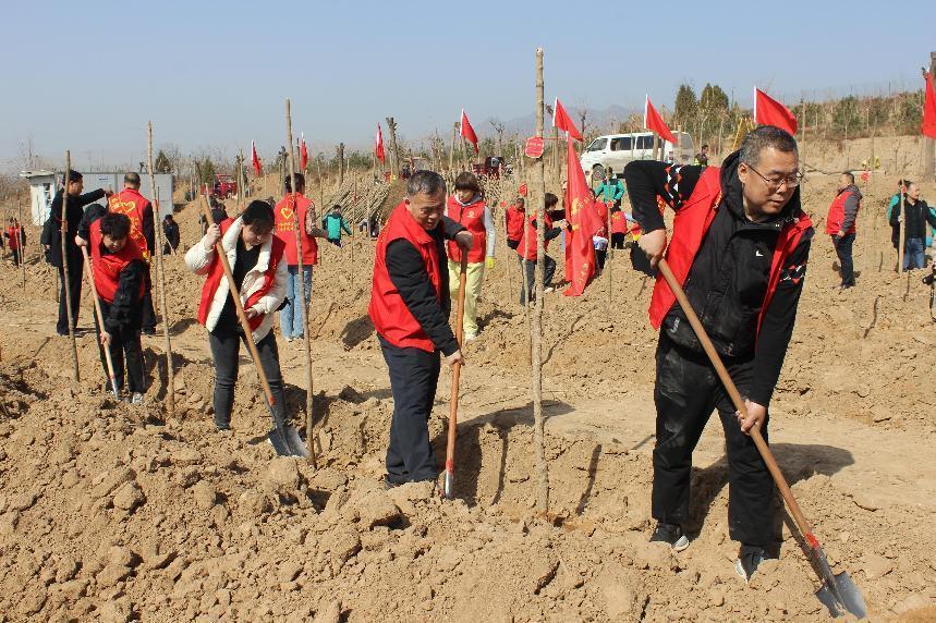 咸阳市工人文化宫开展义务植树活动