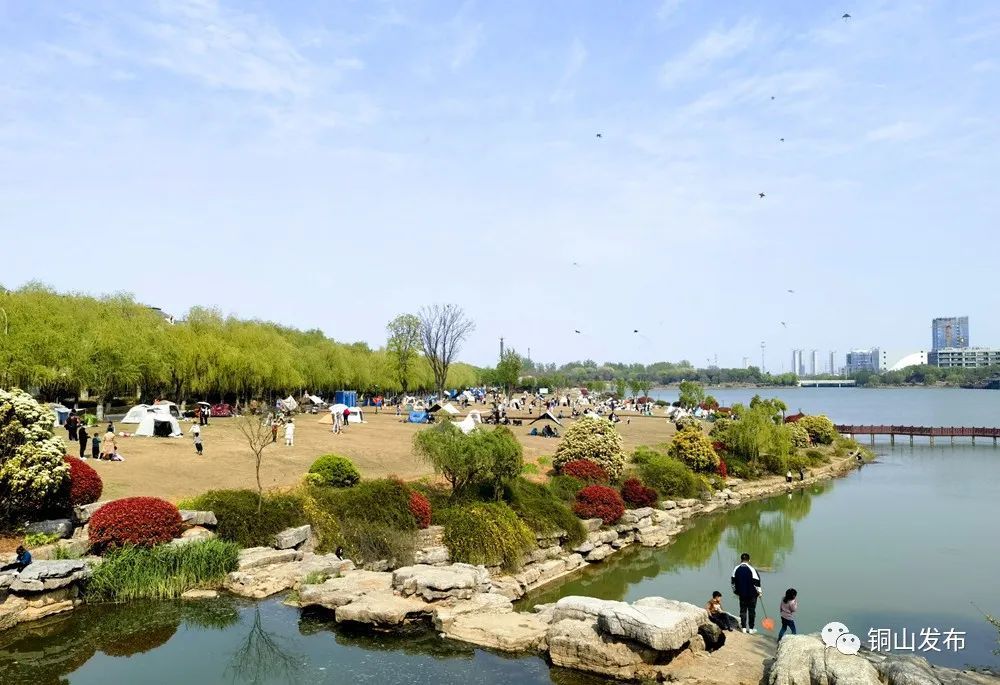 铜山区绿地开放走去春游