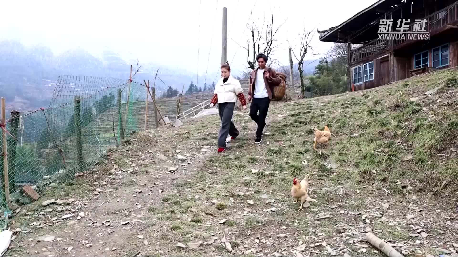 湖南新化：山区土特产香飘“致富路”