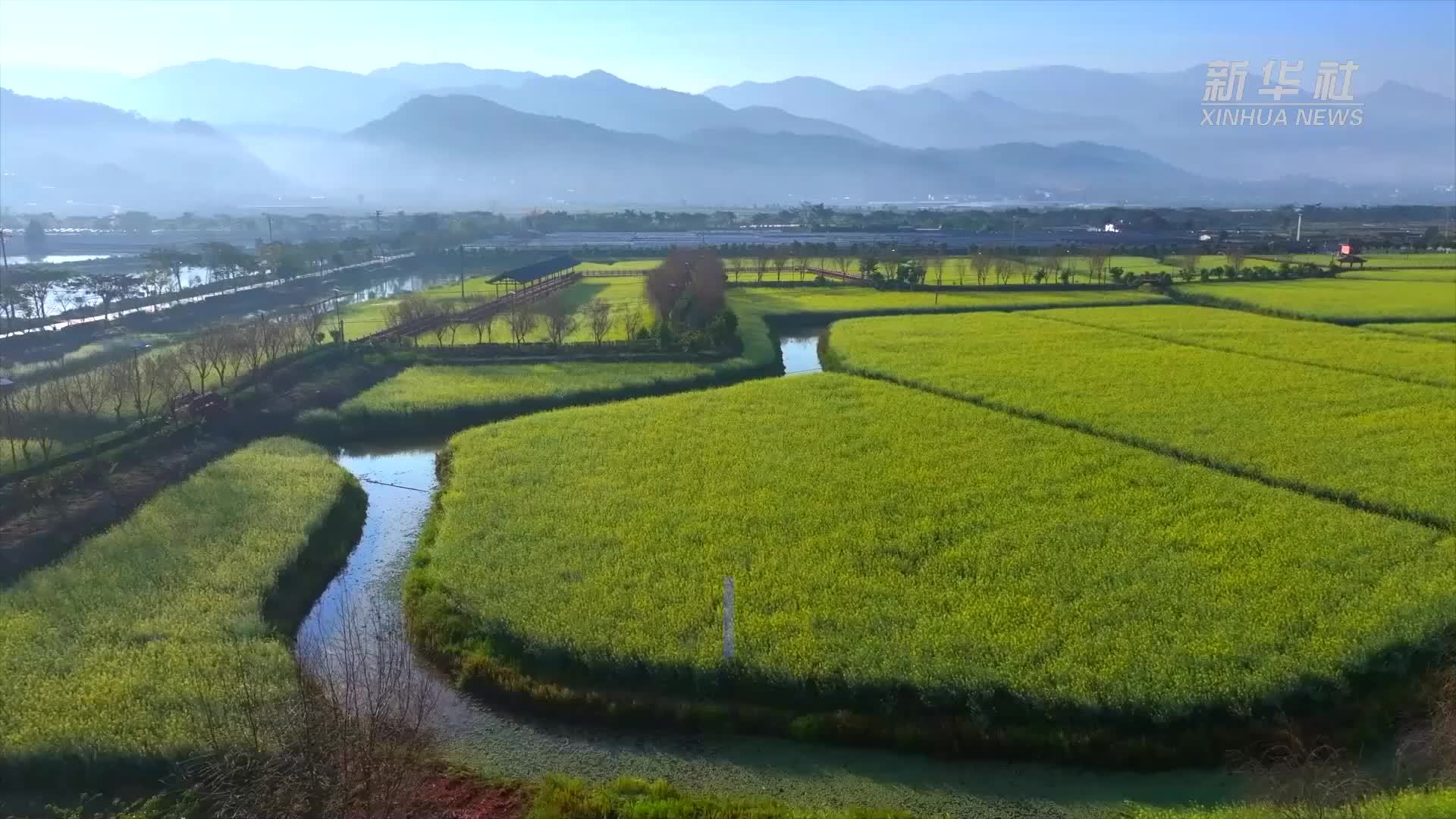 来云南双江品味餐桌上的春味儿