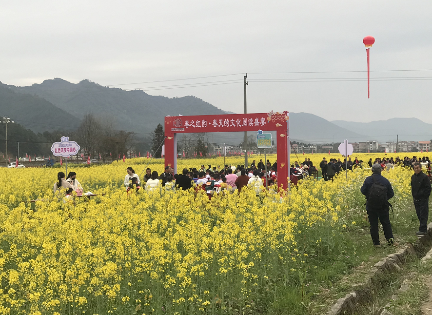 永新縣2024年油菜花鄉村生態旅遊節拉開帷幕鳳凰網江西_鳳凰網