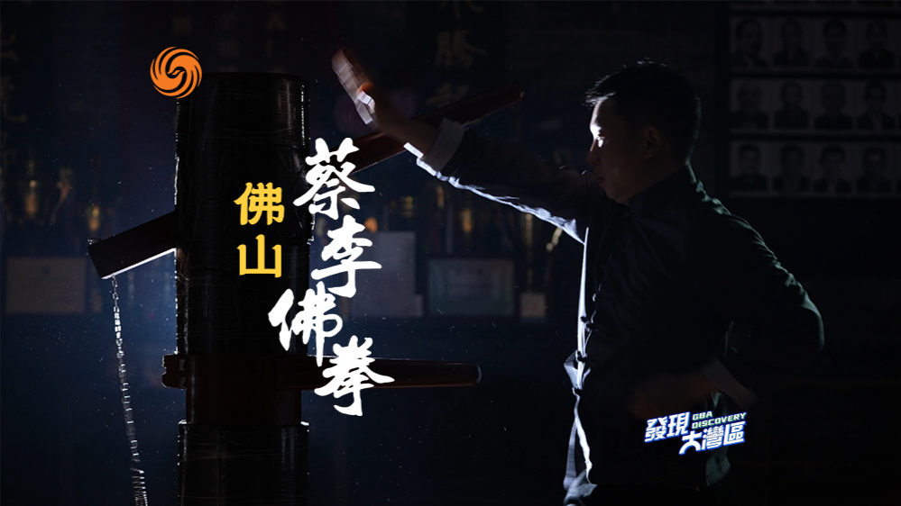 佛山蔡李佛拳|《发现大湾区》
