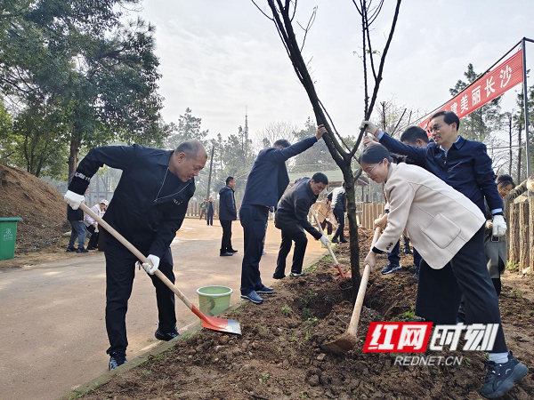 3月11日，湖南省粮食和物资储备局干部职工到长沙生态动物园开展义务植树活动。