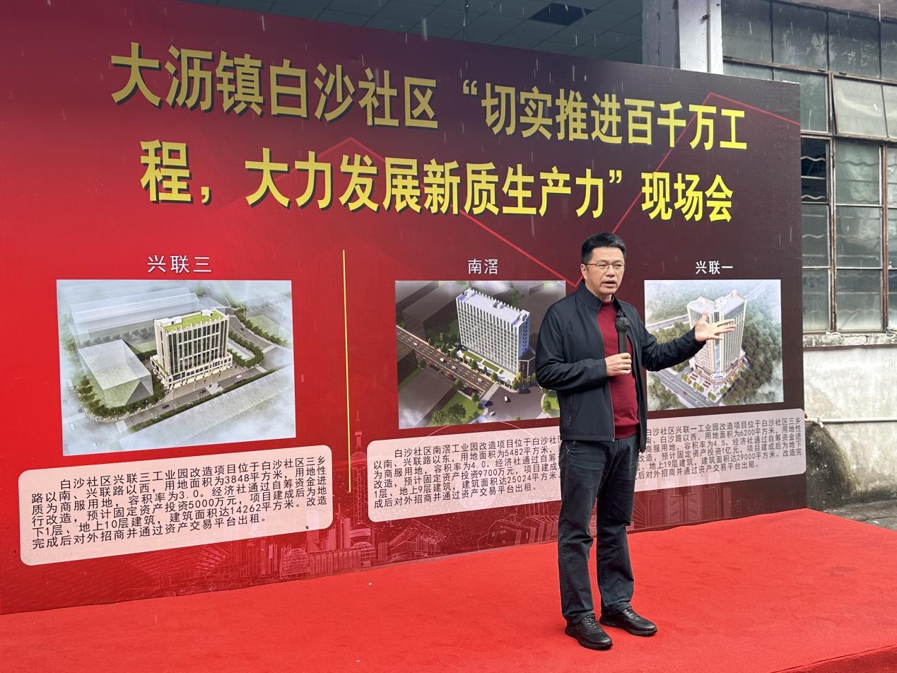 南海区区委常委、大沥镇党委书记岑灼雄发言