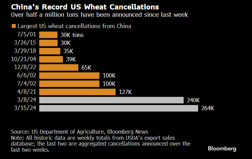 外媒：中国还从未取消过如此之多的美国小麦订单