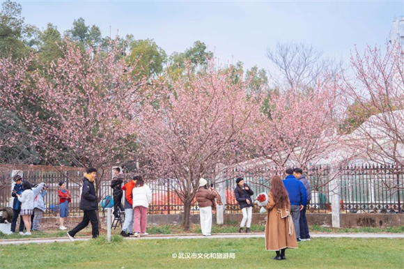 3月6日 年轻人在武汉大学教五草坪拍照