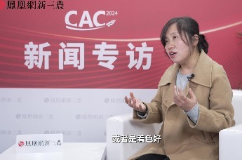 专访陕西鼎天济农腐殖酸制品有限公司 市场总经理  韩新爱