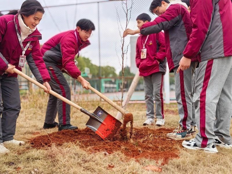 江西东乡校园植树添新绿