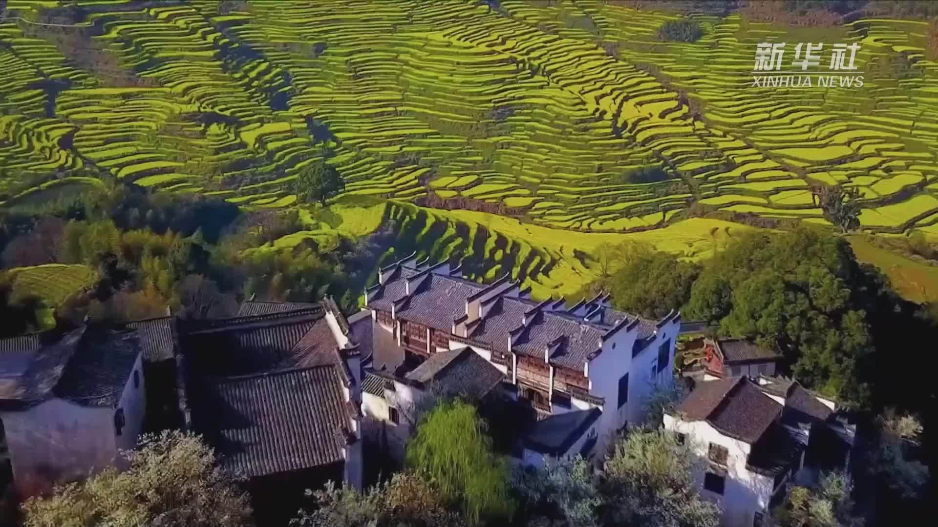 江西婺源：万亩油菜花海助力乡村振兴