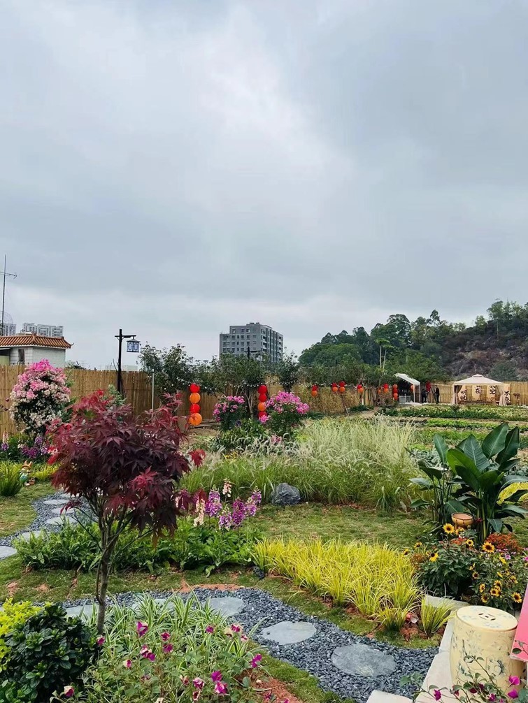 面向公众！小隐中华传统文化非遗基地在深圳光明启动