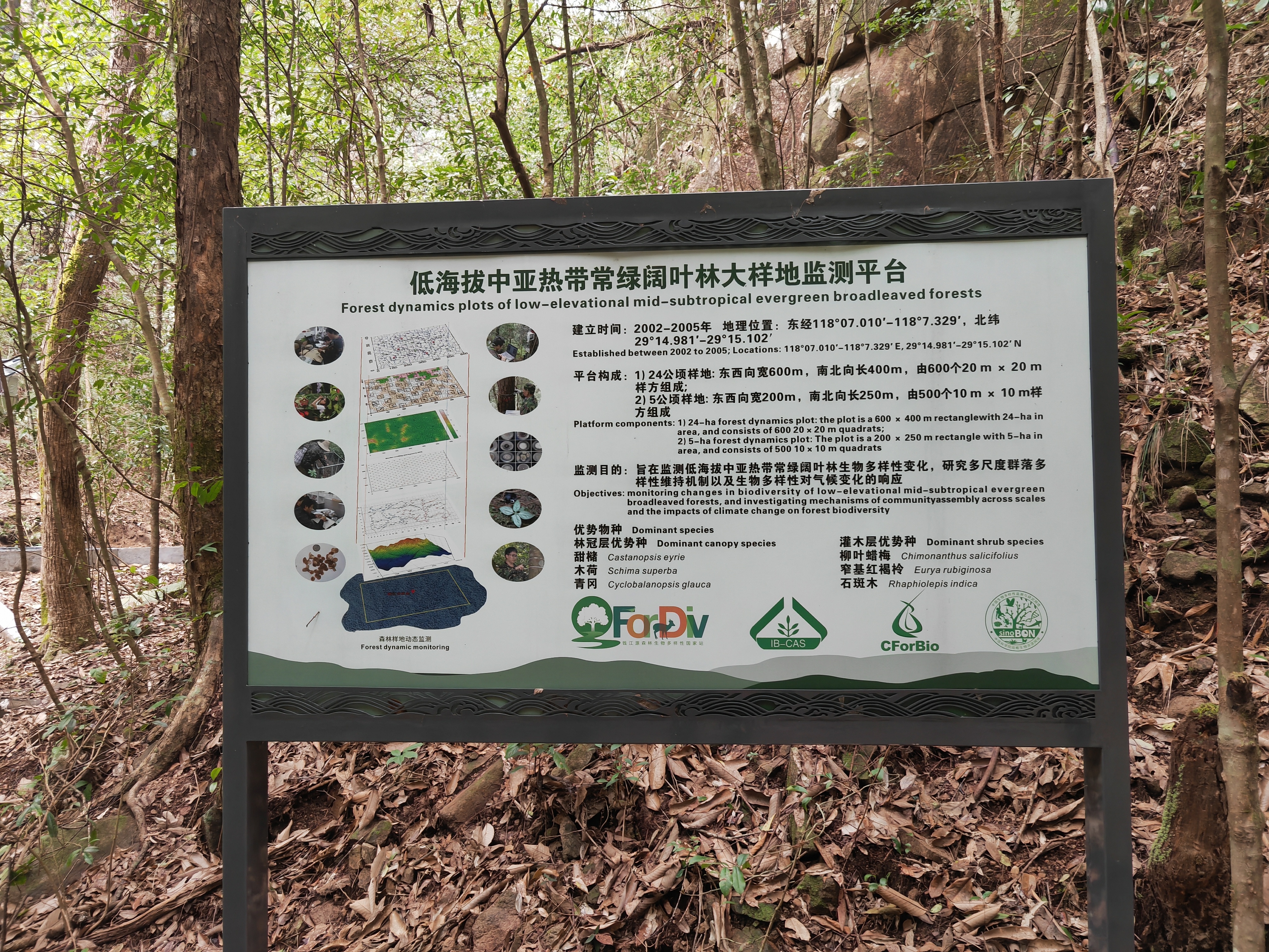 走进“大样地” 南山国家公园的生态“字典”