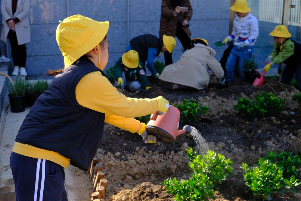 宁de百草园小神农妙手著环保