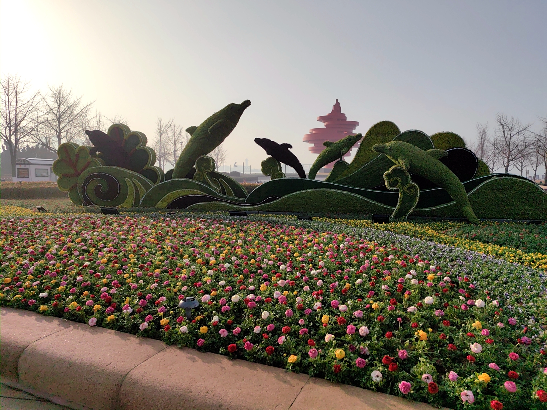 浮山森林公园全新亮相，市南区有序推进公园城市建设