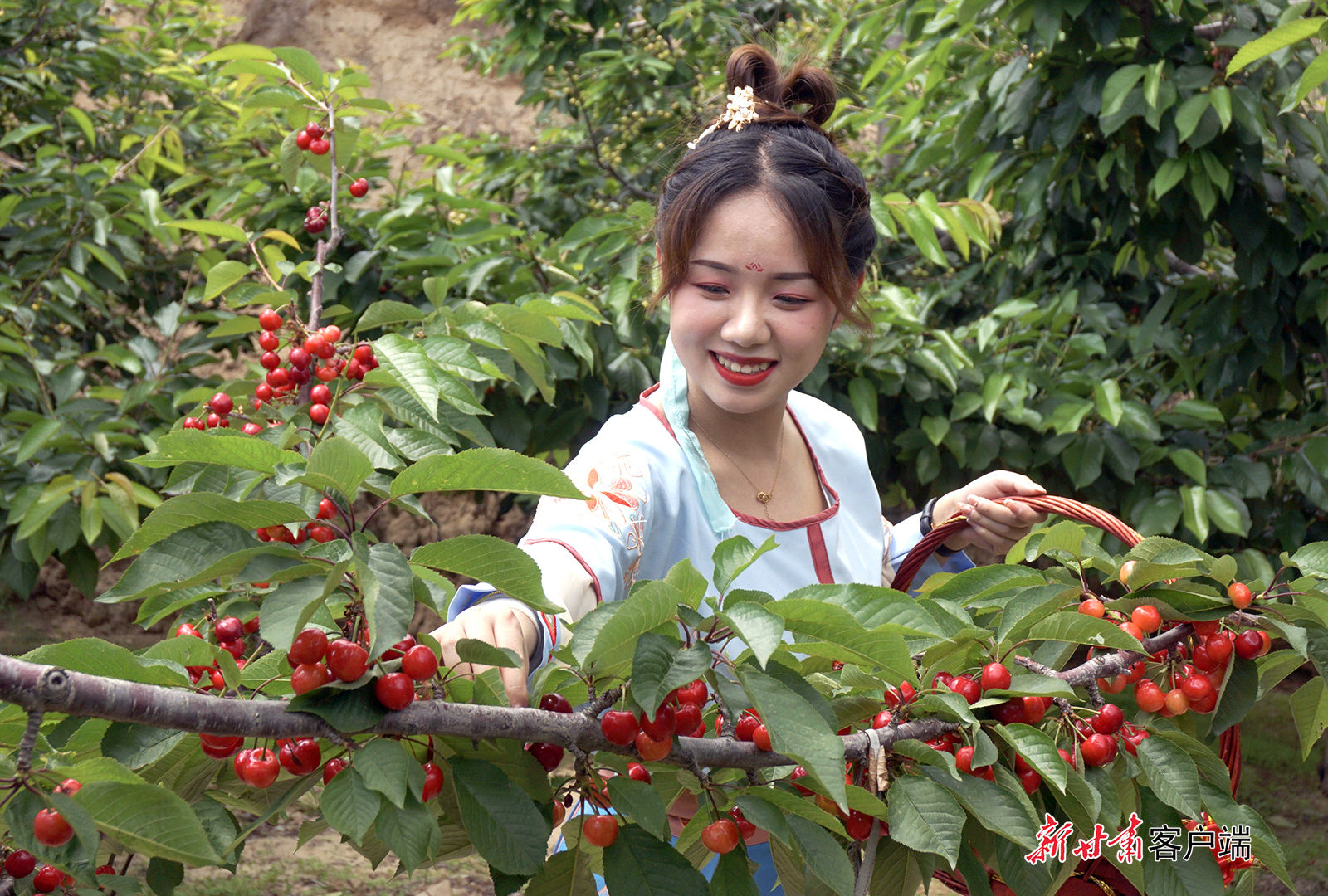 摄影:新甘肃·甘肃日报通讯员 窦耀辉 邵莉