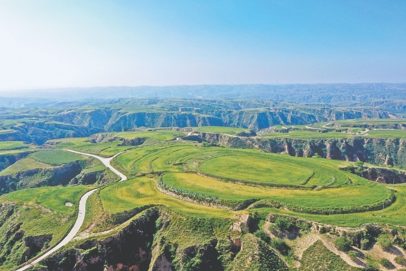 府谷县全域探索产业振兴新模式 乡村蝶变展新颜凤凰网陕西_凤凰网